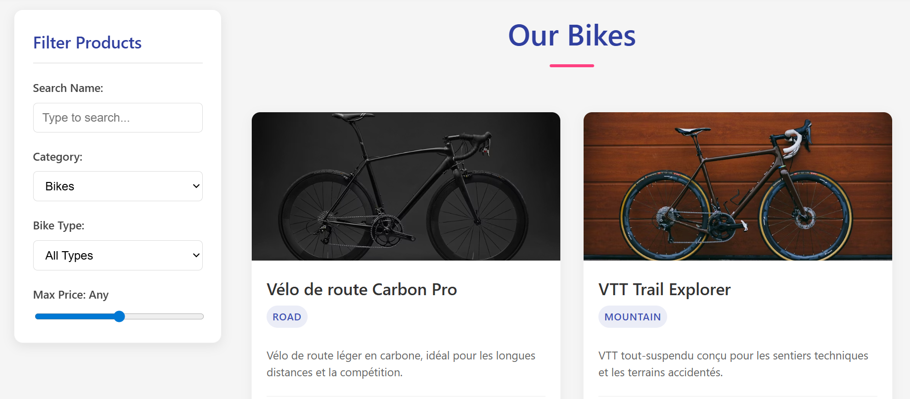 Bike Catalog - The catalog page displaying a list of available bikes with filtering options